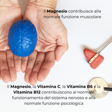 Carica l&#39;immagine nel visualizzatore di Gallery, SinFlogo® NERV Integratore nutraceutico utile nel trattamento di sindromi dolorose croniche quali sciatalgie, neuropatie periferiche, neuropatie diabetiche, nevralgie, dolore pelvico, osteoartriti