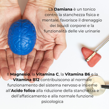 Carica l&#39;immagine nel visualizzatore di Gallery, Geras Gold® Integratore nutraceutico costituito da  componenti che hanno dimostrato di contribuire a contrastare  i disturbi della menopausa