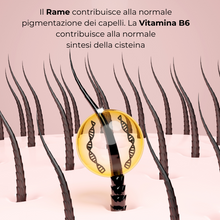 Carica l&#39;immagine nel visualizzatore di Gallery, Revepil FORTE® Integratore nutraceutico costituito da componenti che hanno dimostrato di contribuire al mantenimento di capelli e unghie normali