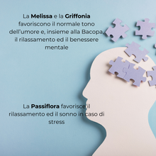 Carica l&#39;immagine nel visualizzatore di Gallery, Relaom® Integratore nutraceutico costituito da componenti che hanno dimostrato di favorire il normale tono dell’umore, il rilassamento e il sonno in caso di stress