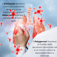 Carica l&#39;immagine nel visualizzatore di Gallery, Reimmun Plus® Integratore Nutraceutico utile per rinforzare il sistema immunitario e per proteggere le cellule dallo stress ossidativo