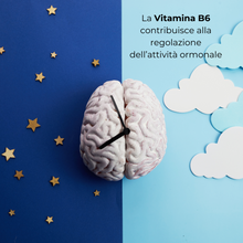 Carica l&#39;immagine nel visualizzatore di Gallery, SinFlogo® NERV Integratore nutraceutico utile nel trattamento di sindromi dolorose croniche quali sciatalgie, neuropatie periferiche, neuropatie diabetiche, nevralgie, dolore pelvico, osteoartriti