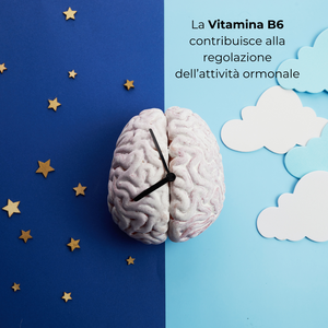 SinFlogo® NERV Integratore nutraceutico utile nel trattamento di sindromi dolorose croniche quali sciatalgie, neuropatie periferiche, neuropatie diabetiche, nevralgie, dolore pelvico, osteoartriti